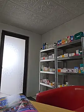 IsabelleCraft webcam