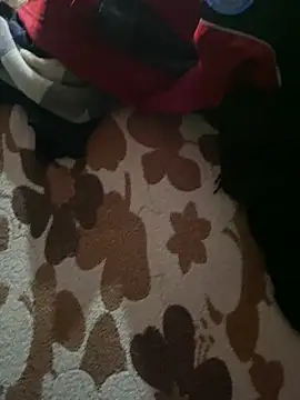 biggest_cocky webcam