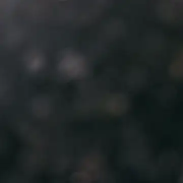 FernandaMartynelyh webcam