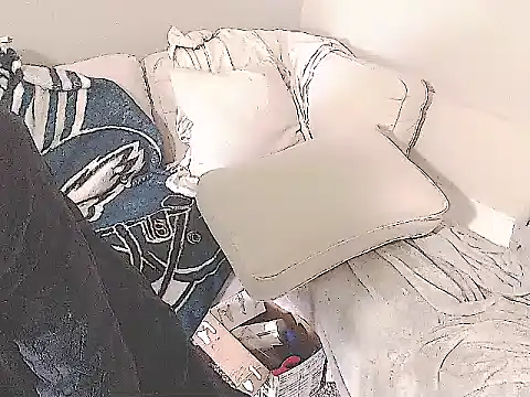 studlyhardwoodd webcam