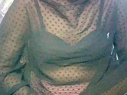 wild-paaro143 webcam