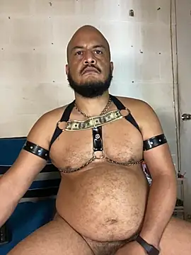 the_master_foal_ webcam