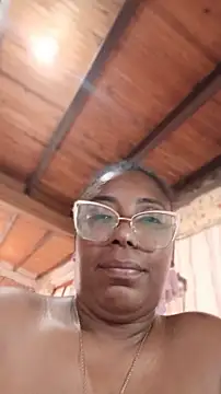 ChanneldelaCroix webcam