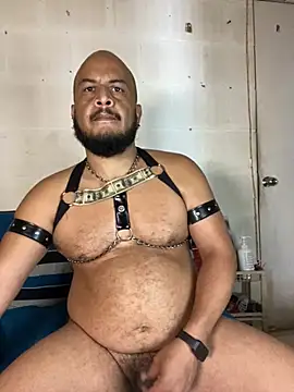 the_master_foal_ webcam