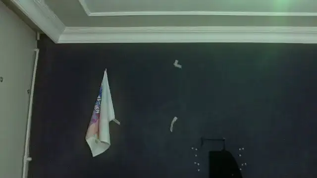 turkishTransEfsun webcam