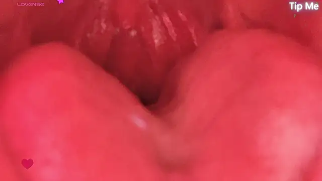 donghuangtaiyi--- webcam