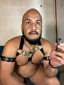 the_master_foal_ webcam