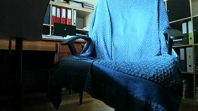 leccaleccafiga webcam