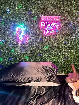 Preview of renathickass