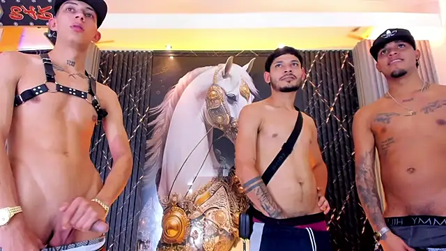 the_knights_of_the_night_ webcam