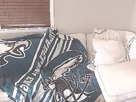 studlyhardwoodd webcam