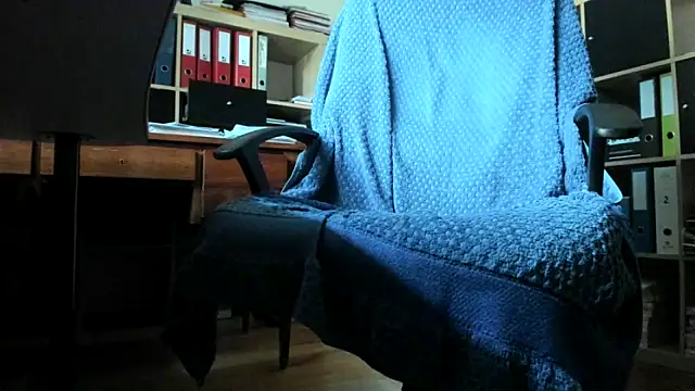 leccaleccafiga webcam