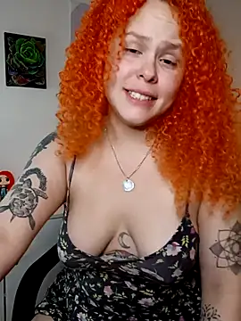 Alaska_colors7 webcam