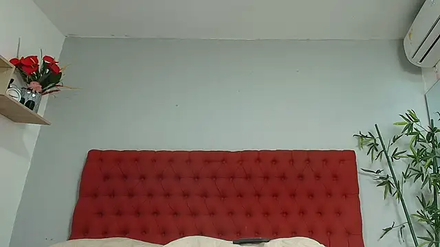 cristina_aznar1 webcam