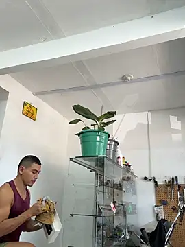 Paul22cm- live sex cam