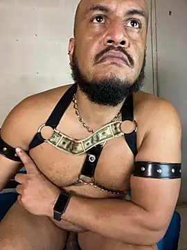 the_master_foal_ webcam