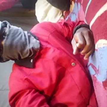 Lordon__fettiii25_ webcam