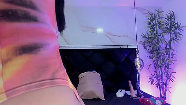 Ibbie_drastic webcam