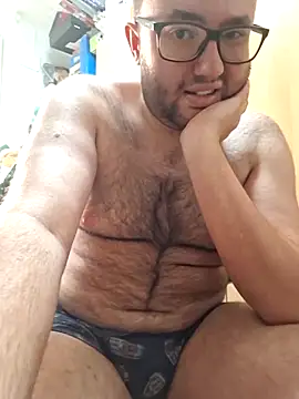 Javier_bear webcam