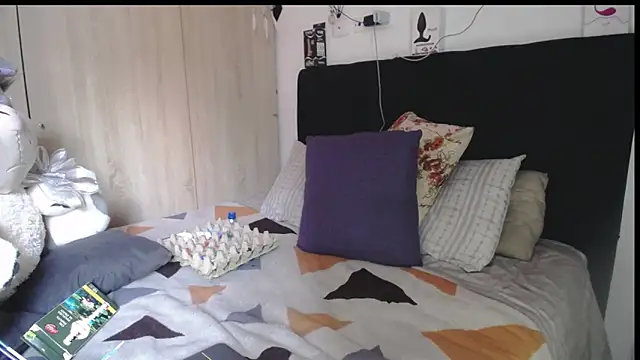 Santiago_kiler webcam