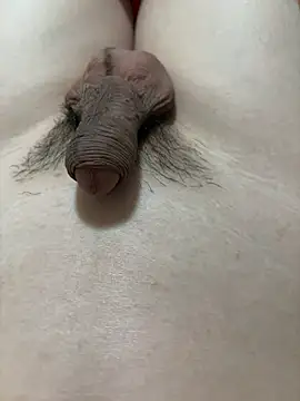 llkiki (M young) - 晚餐Dinner