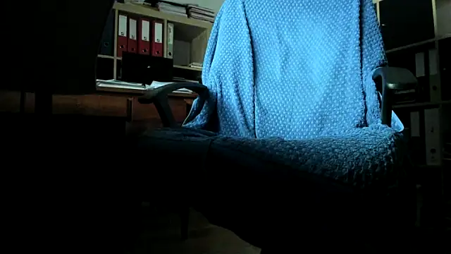 leccaleccafiga webcam