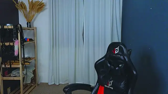 laracroftmansion webcam