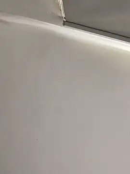 La-Gatiita-trans webcam