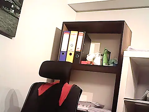 mastercharisma35 webcam