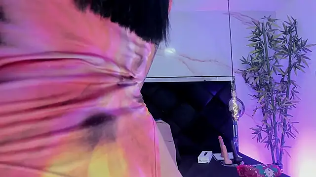 Ibbie_drastic webcam