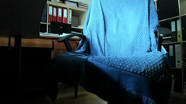 leccaleccafiga webcam