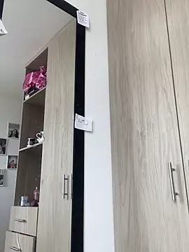 DarkSirenQueen webcam