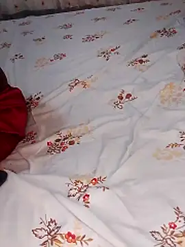 ndivhuwomuleya webcam