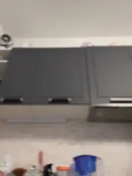 _CherryBloom_ webcam