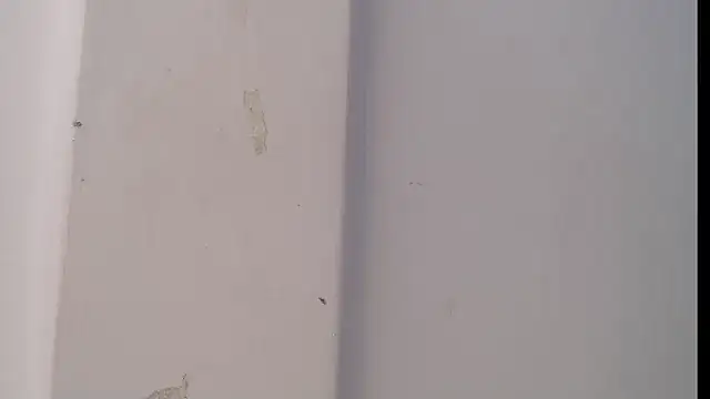 18dulcegatita webcam