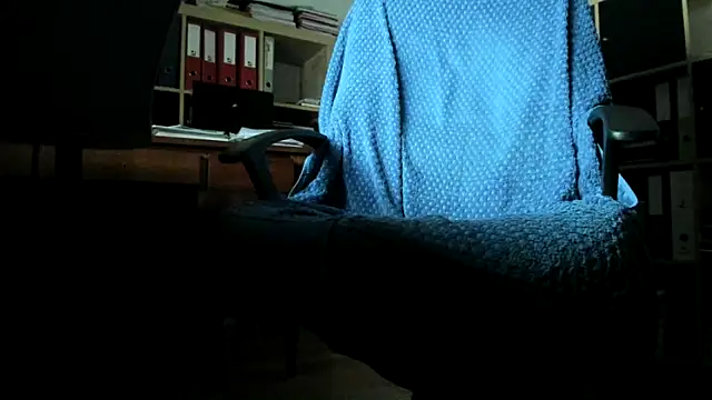 leccaleccafiga webcam