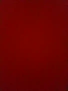 Shreya_pandit webcam