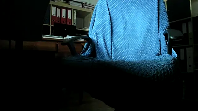 leccaleccafiga webcam