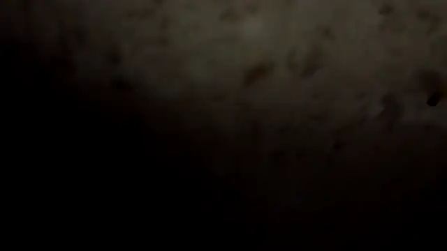 YourDesi_Laila_ webcam