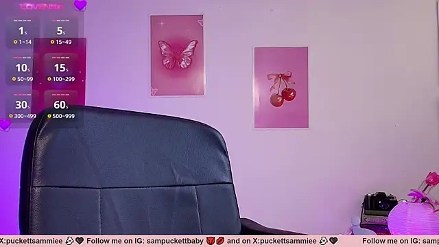 Sampuckettbaby webcam