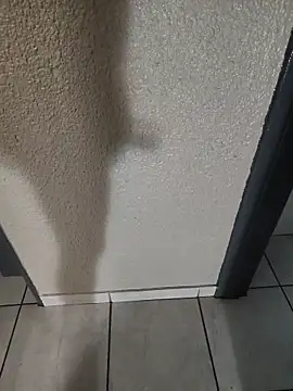 AlgeeBoksburg webcam