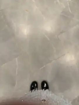 gougou13 Live Webcam on Stripchat