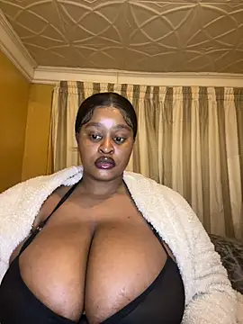 Bella-Porsche webcam