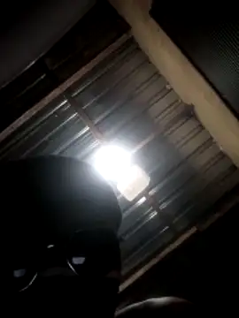 The_pounding_pounder webcam