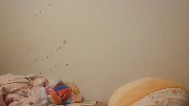 starlight1983 webcam