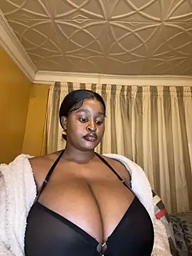 Bella-Porsche webcam