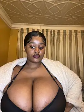 Bella-Porsche webcam