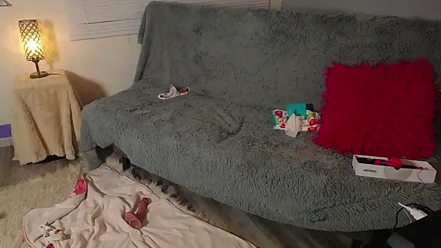 Lala_fluffy webcam