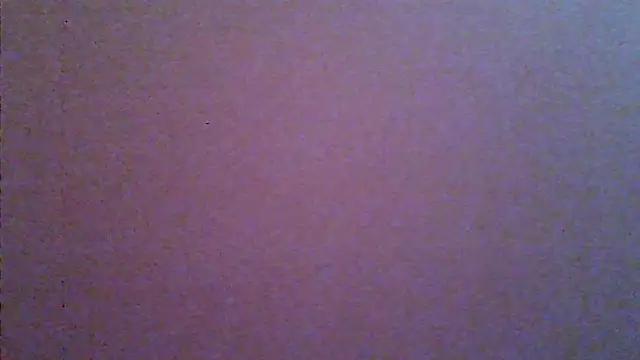 laisladecristal webcam