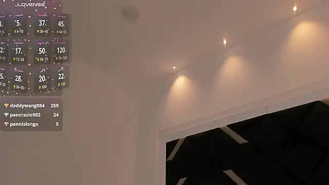 Alexa_Handler webcam